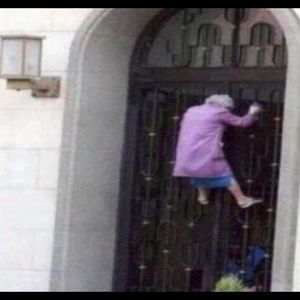 Meet your Posher, Annabelle